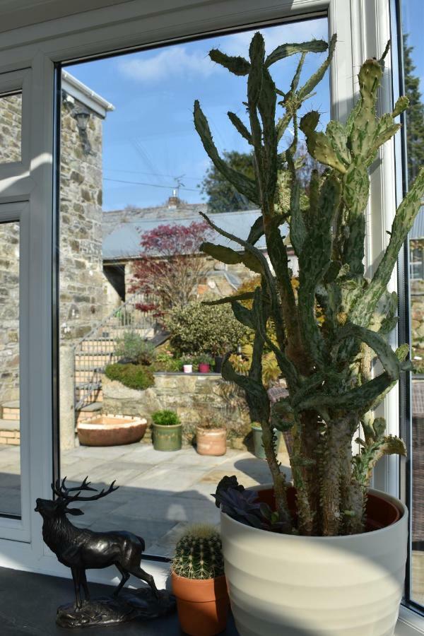 Treveighan Farmhouse Saint Teath Exterior foto